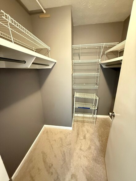 Building Photo - 3140 Seven Pines Ct