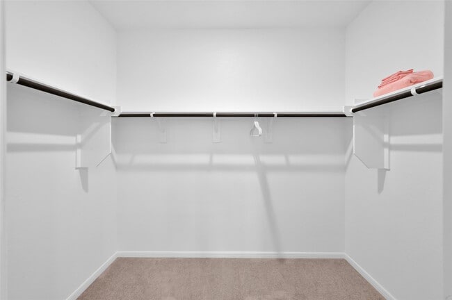 Building Photo - 10917 Fly Catcher Dr