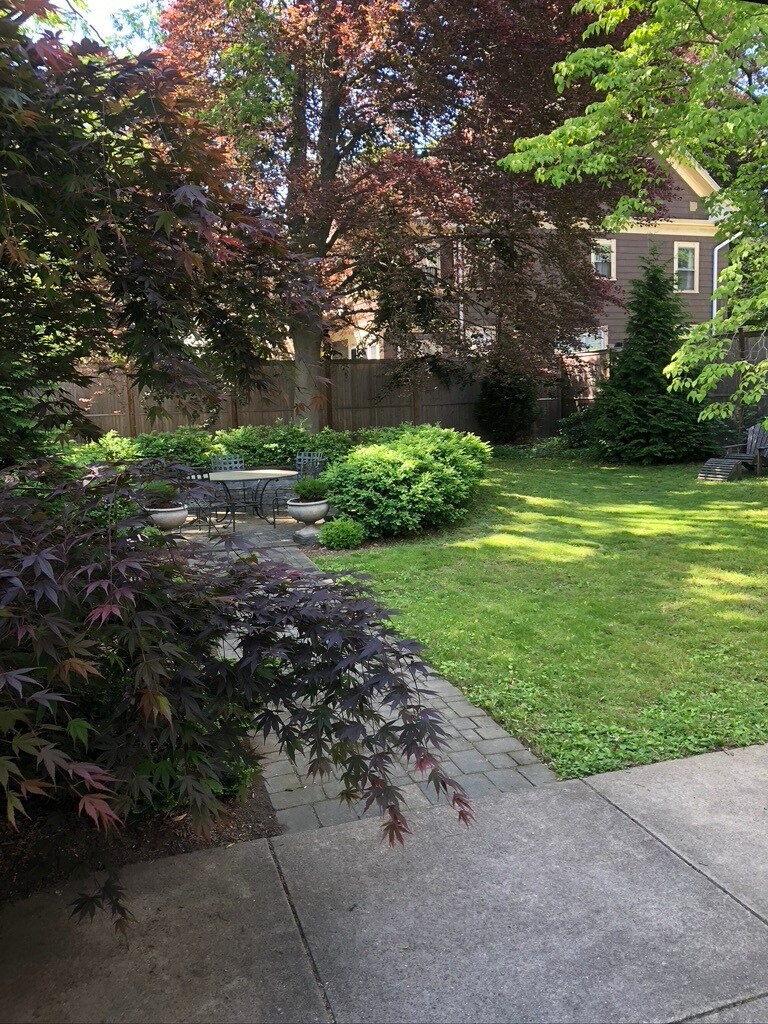 Garden - 642 Orange St