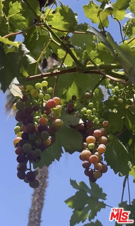 Building Photo - 3541 5th St