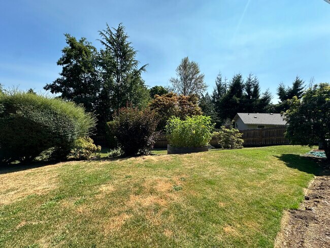 Yard - 2345 Century Ln