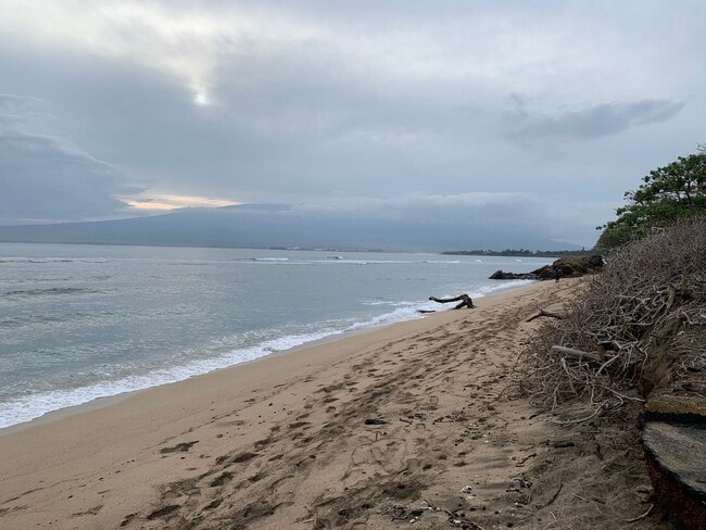 Building Photo - Oceanviews Private 1 bed / 1 bath sep. cottage. "INCL ALL utilities + WIFI internet". Furnished.