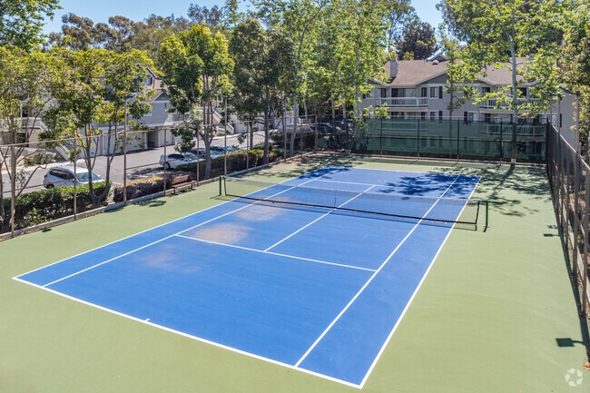 Tennis Court - Flower Fields