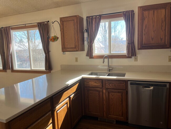 Undermount sink and brand new quartz countertops - 2619 15th Ave