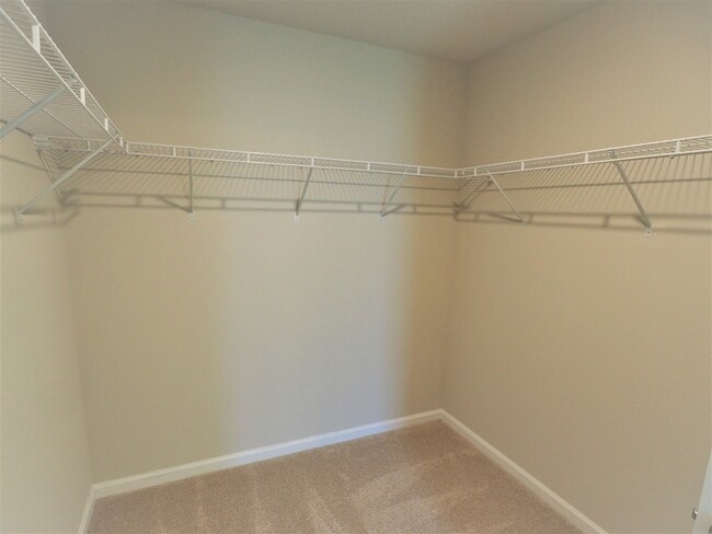 Building Photo - 4 Bedroom home with community pool!
