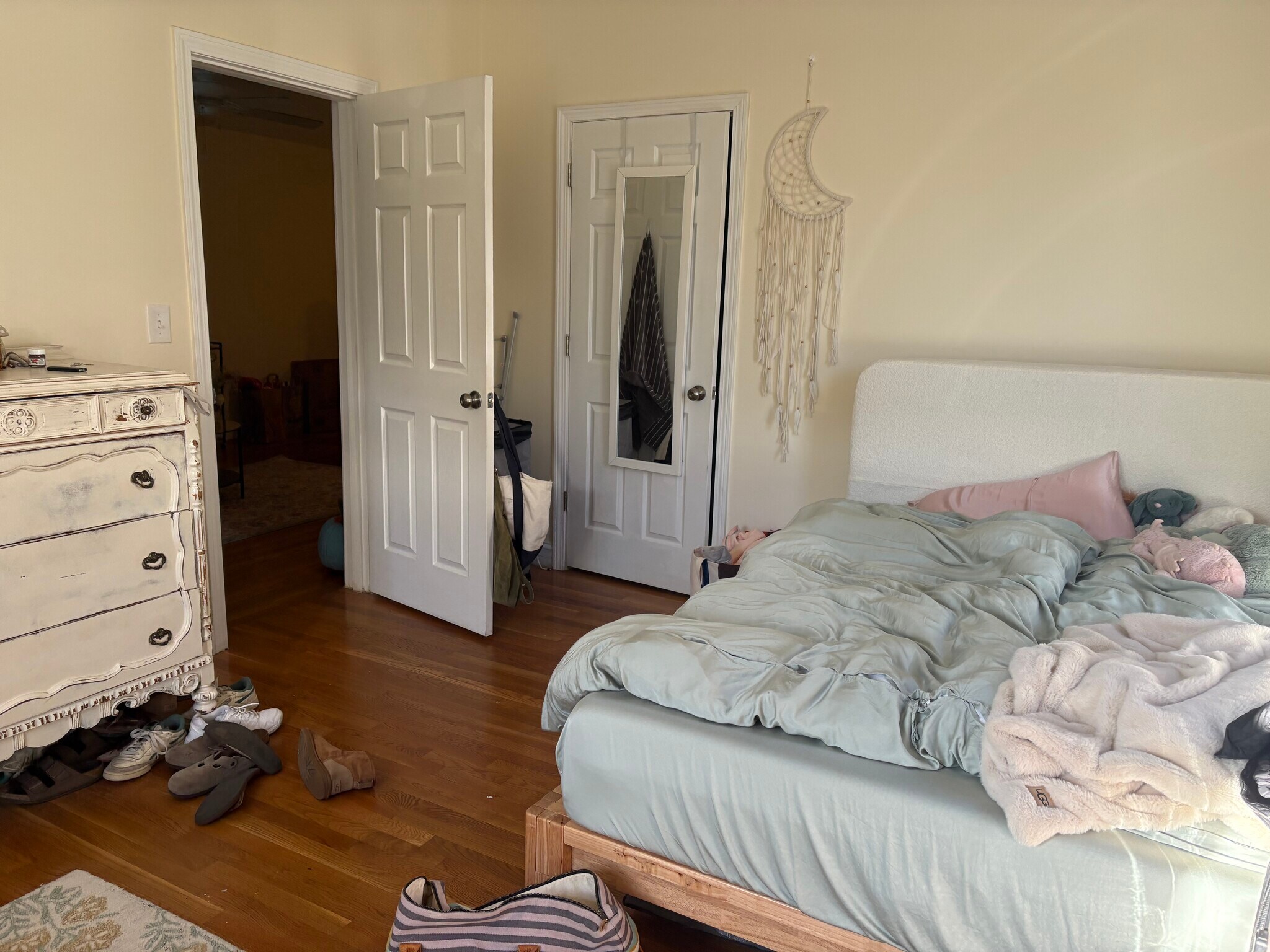 Building Photo - 56 Egmont St