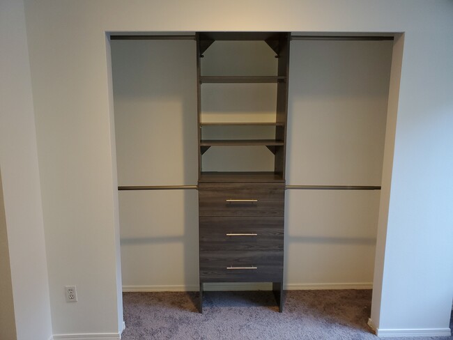 Master BR Closet - 1542 Cherrylane Ave S