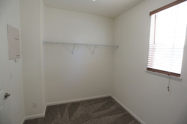 Building Photo - Gorgeous Home located in the heart of Patt...