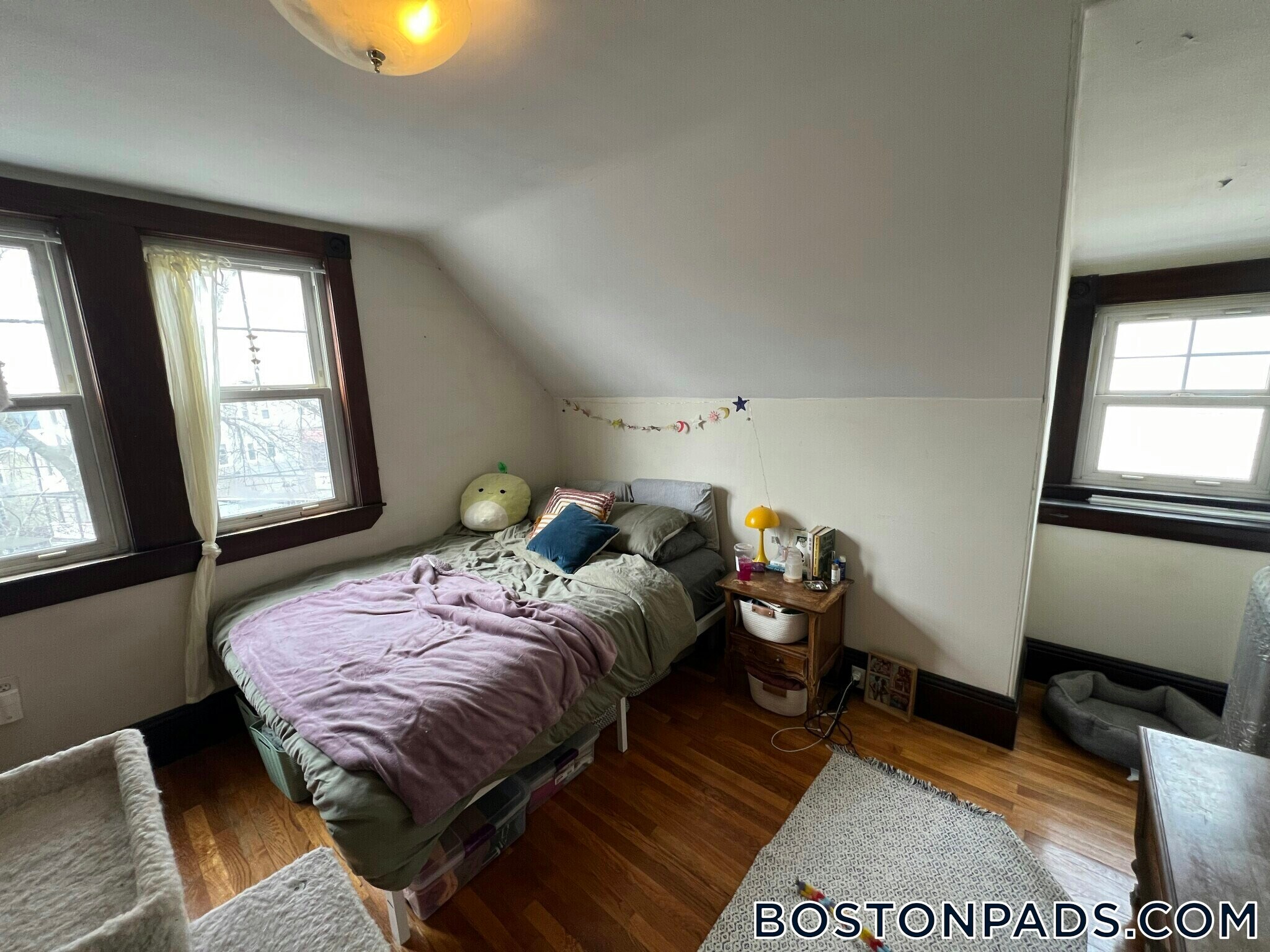 Building Photo - 211 Holland St