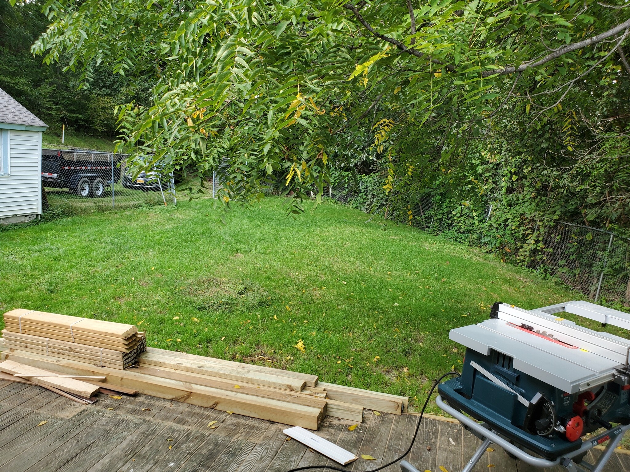 Backyard - 62 Glen Ave