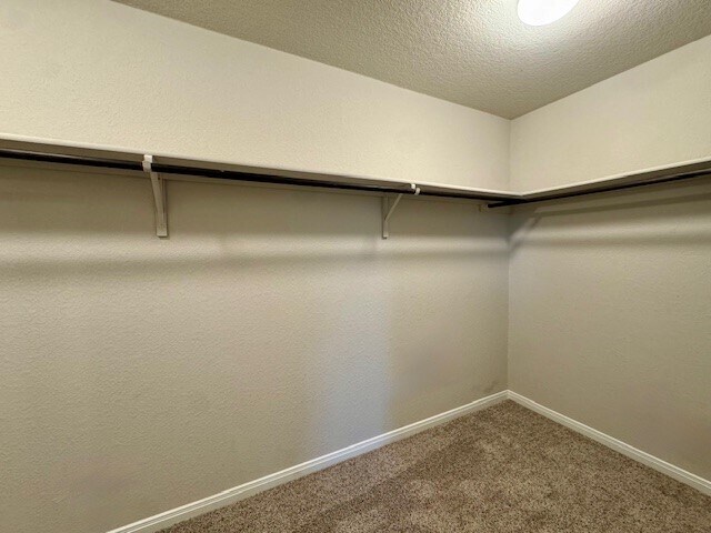 Building Photo - 407 Marimoor Dr