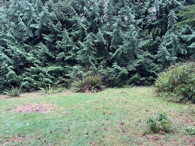 Building Photo - Single Level Home in Langley!