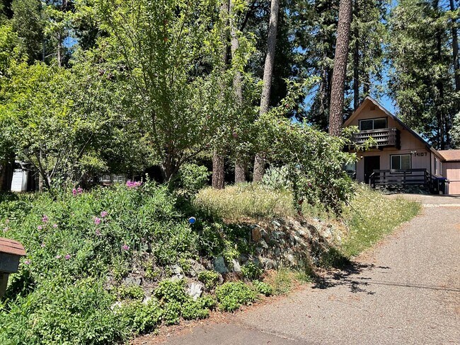 Building Photo - Two story 4 bedroom 2 bath home, Magalia