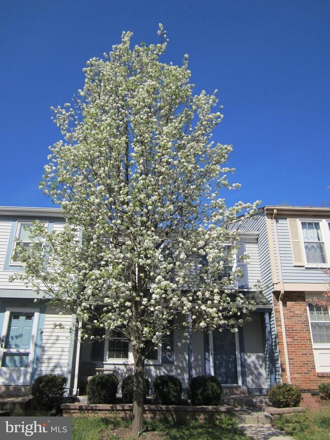 Building Photo - 7723 Camp Alger Ave
