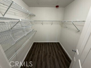 Building Photo - 2517 Tequestra