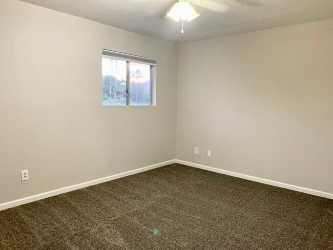 HUGE Master Bedroom - 264 E Betty Elyse Ln