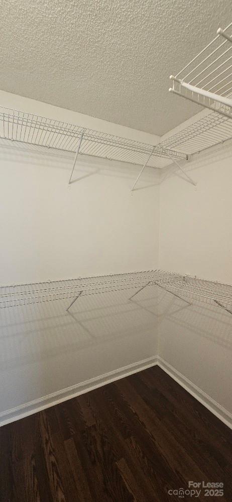 Building Photo - 3738 Sweetgrass Ln