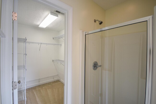 Building Photo - 217 Rolling Stone Ct