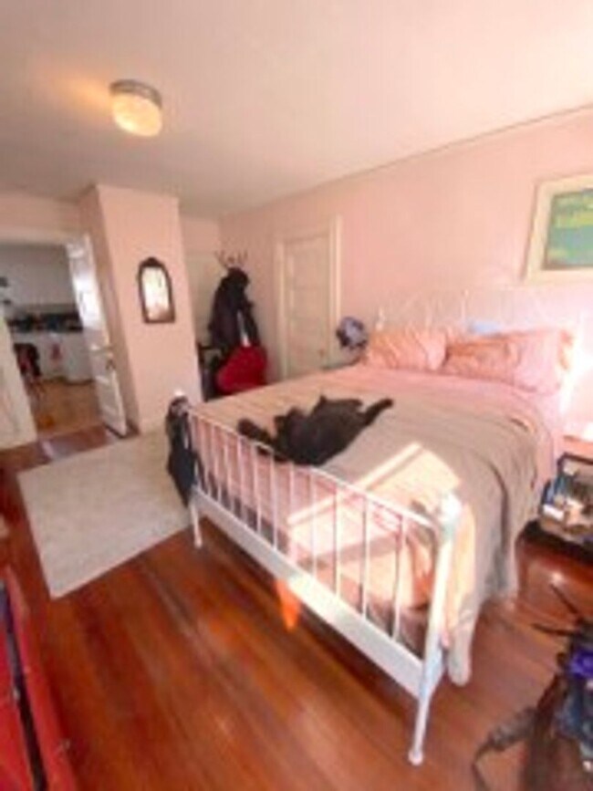 Building Photo - Allston 4.5 Bed  2 Bath - 9/1