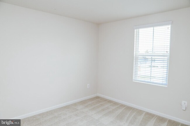 Building Photo - 118 Charlotte St