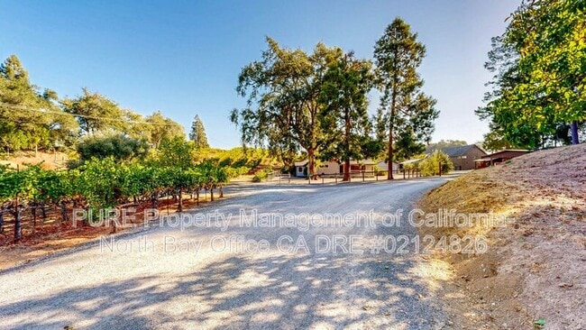 Building Photo - 4939 Dry Creek Rd