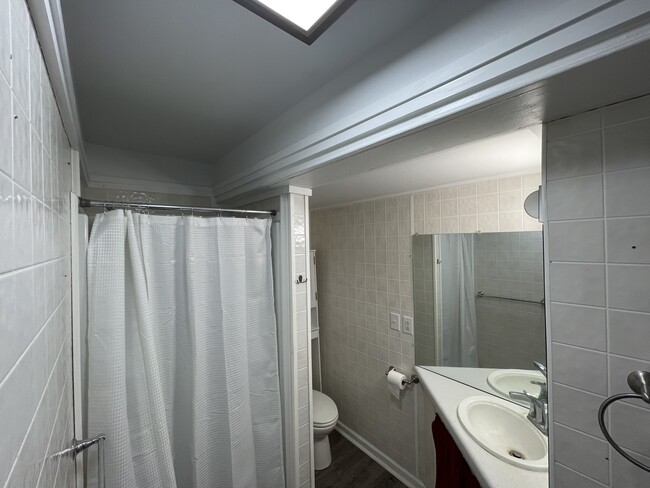 Bathroom - 436 S Westnedge Ct