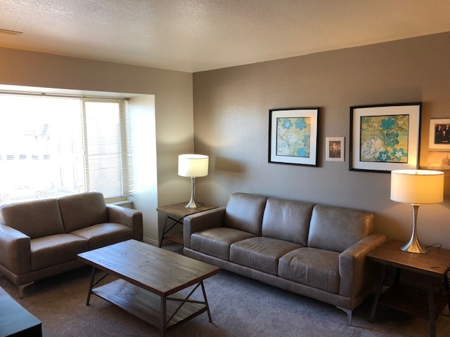 Large Living Room - 151 E 300 N