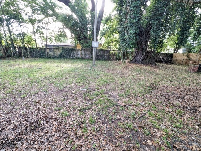 Huge back yard with ancient live oak trees. Entire yard (front and back and carport) is fenced. - 4107 Crane St