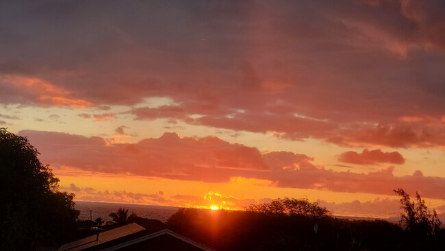 Primary Photo - 86 Koki Pl