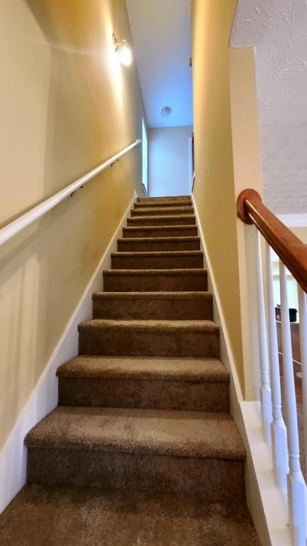 Building Photo - 3001 Falling Water Point