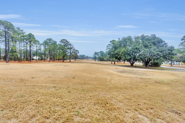 Building Photo - 1106 Navidad Bank Ct