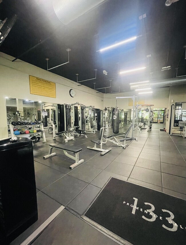 Gym / Weights - 133 The Promenade N