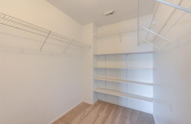 Building Photo - 15002 Sunset Bay Ct