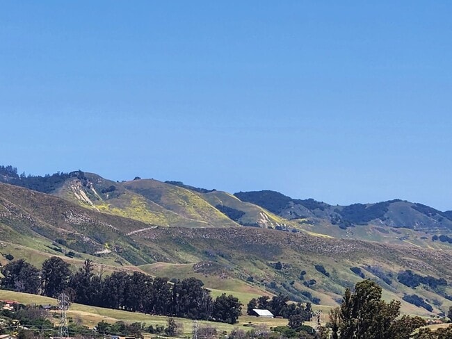 Building Photo - Beautiful Tuscan Style Home in SLO-Coming soon