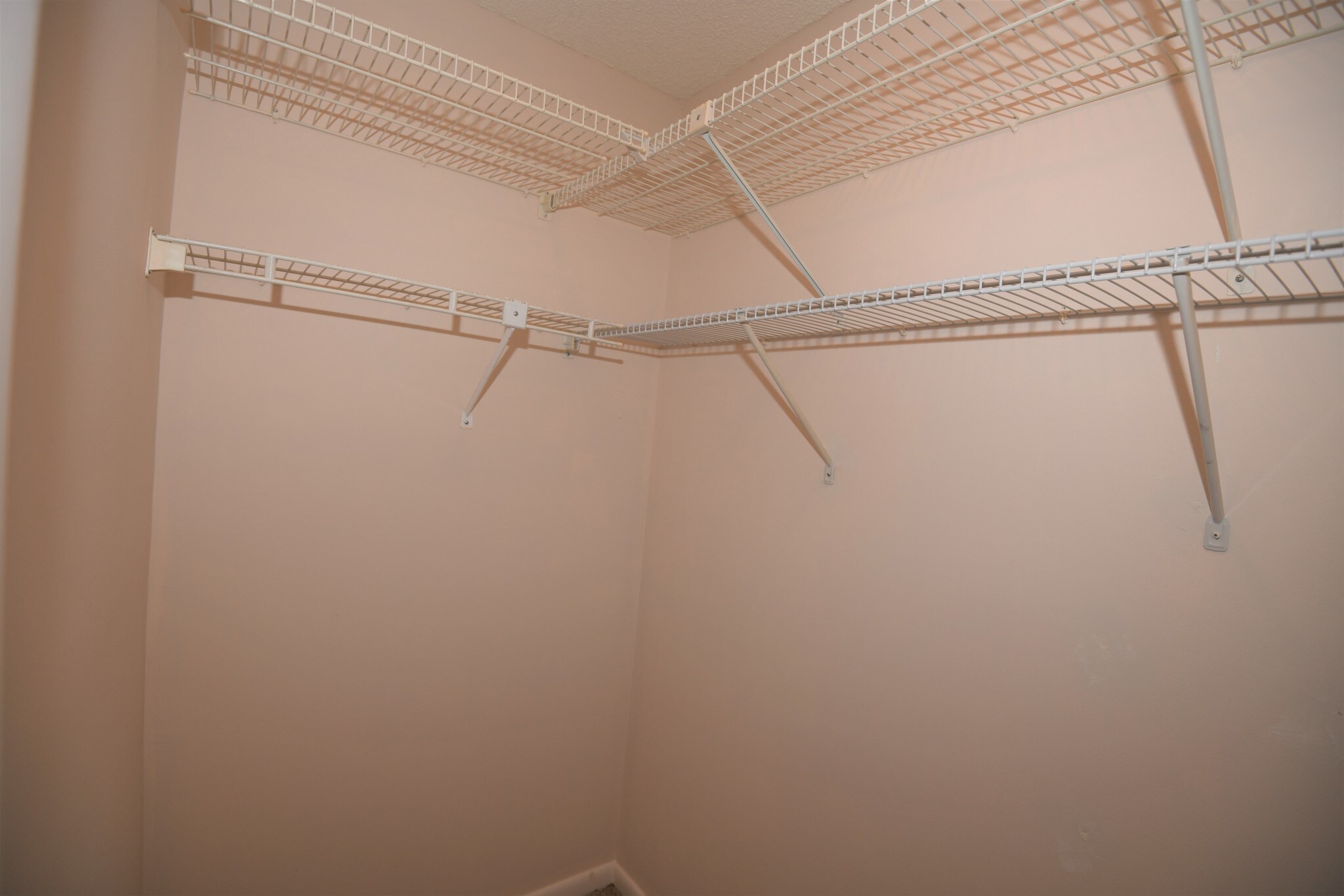 Large second bedroom with 2 walk-in closets. - 1291 SE Parkview Pl