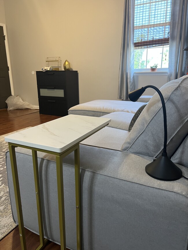 Snack tray & reading light - 14008 Chicora Crossing Blvd