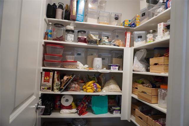 Building Photo - 2046 Hollow Creek Trail