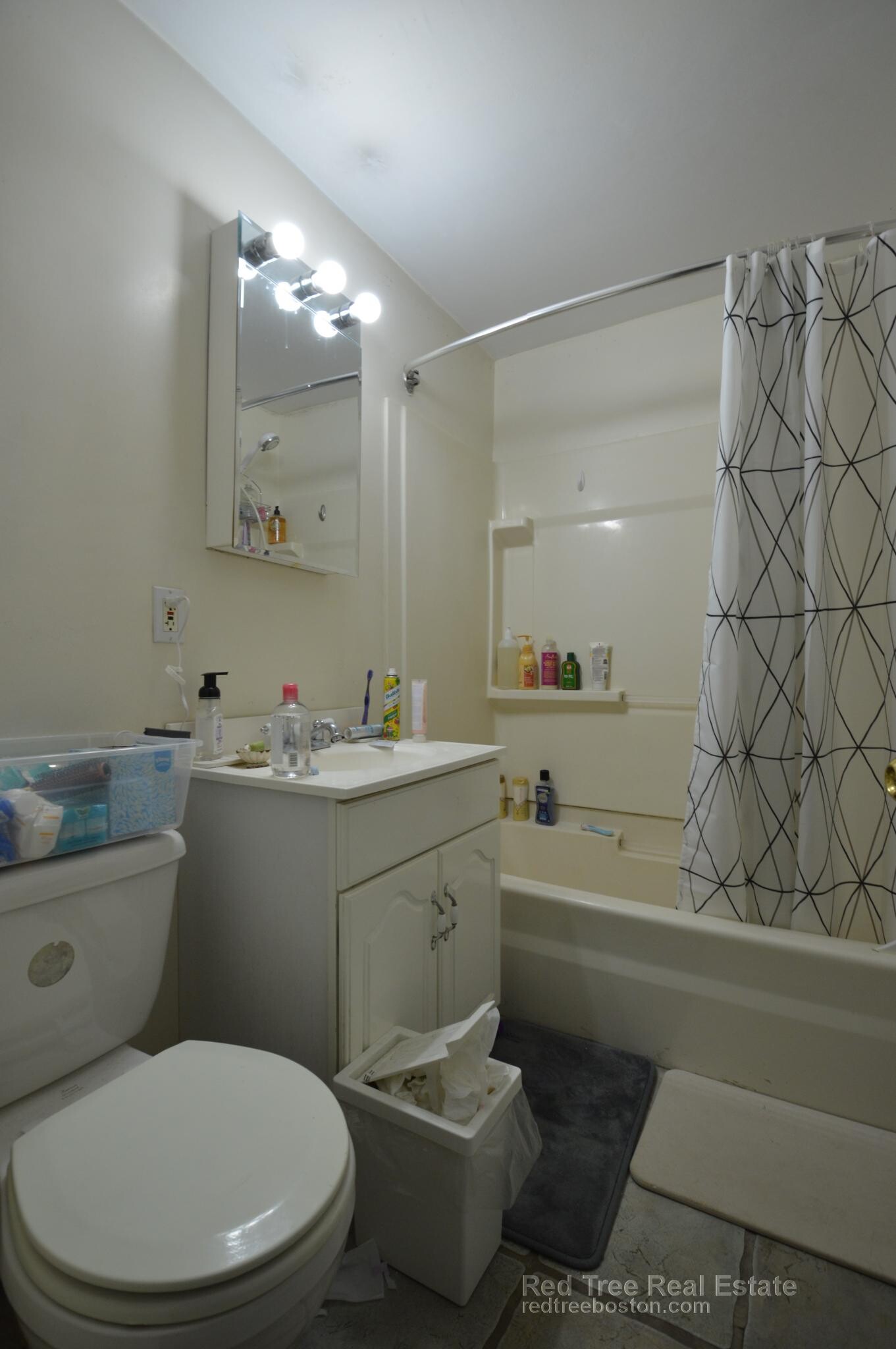 Building Photo - 62 Egmont St