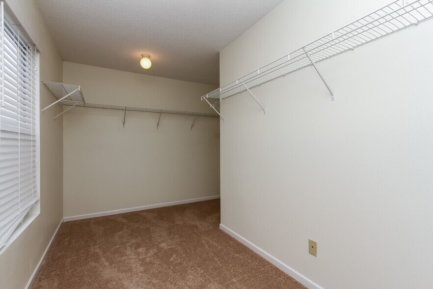 Building Photo - 3115 Black Forest Ln