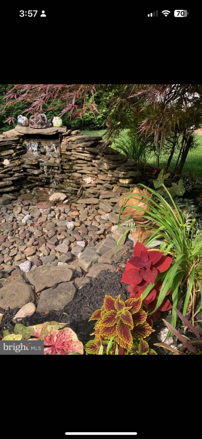 Building Photo - 6610 Cottontail Ct