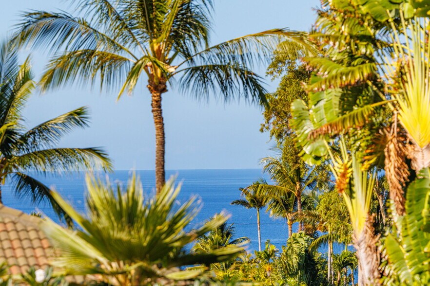 Building Photo - 3950 Kalai Waa St