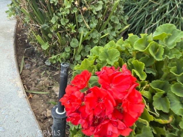 Building Photo - 20930 Parthenia St