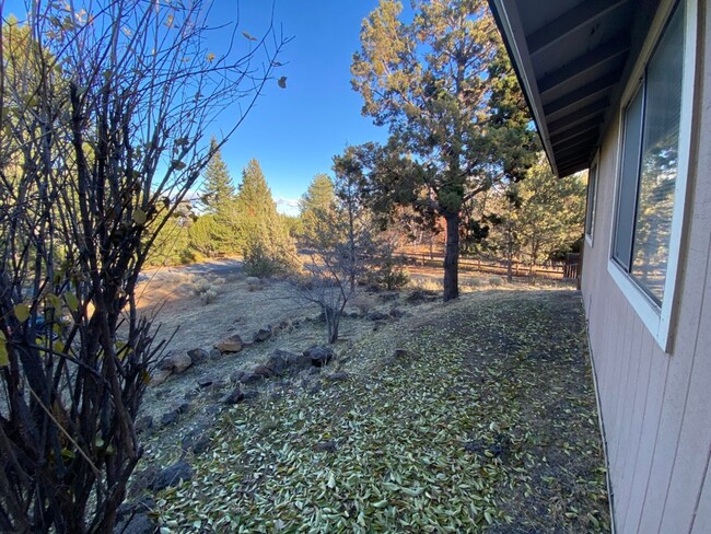 Building Photo - Lovely 3 Bedroom home on 1/2 Acre Lot in N...