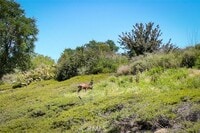 Building Photo - 85 Mira Mesa