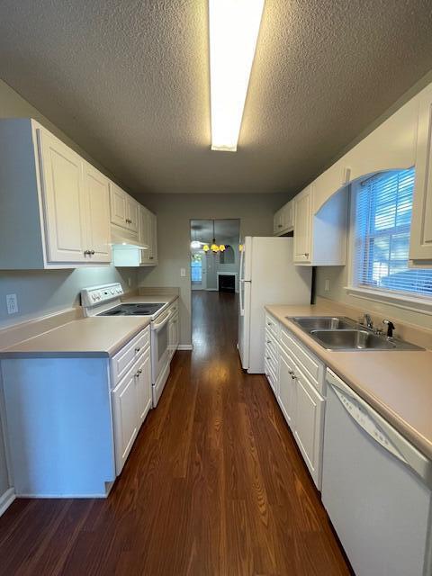 Building Photo - 109 Single Tree Ln