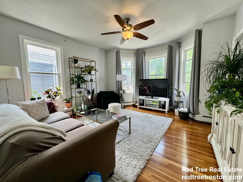 Primary Photo - 46 Brookley Rd
