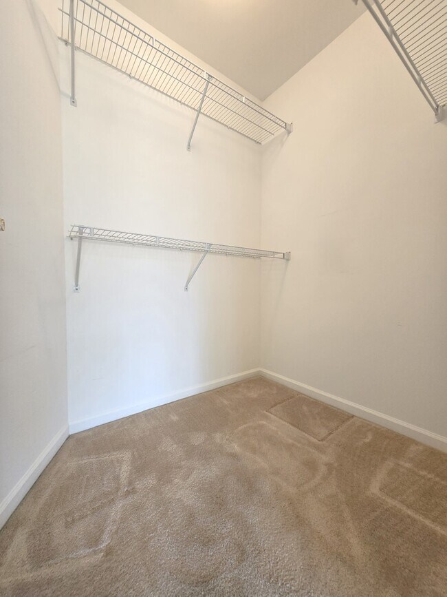 Building Photo - 713 Alsace Ct