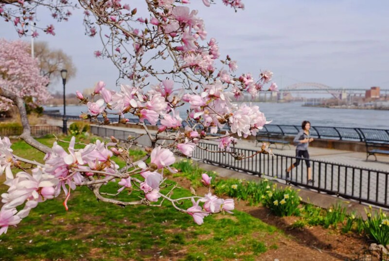 Building Photo - 85 East End Ave