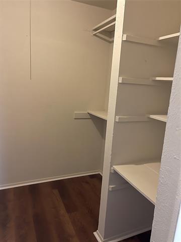 Building Photo - 2905 Lemmontree Ln