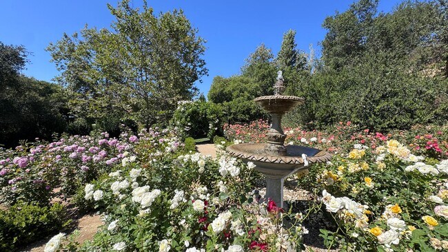 Building Photo - Luxury 4 Bedroom Home in La Costa Greens